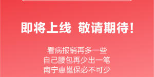 真正零门槛！政府指导的南宁惠邕保即将开售！
